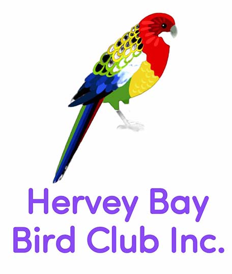hervey bay bird club